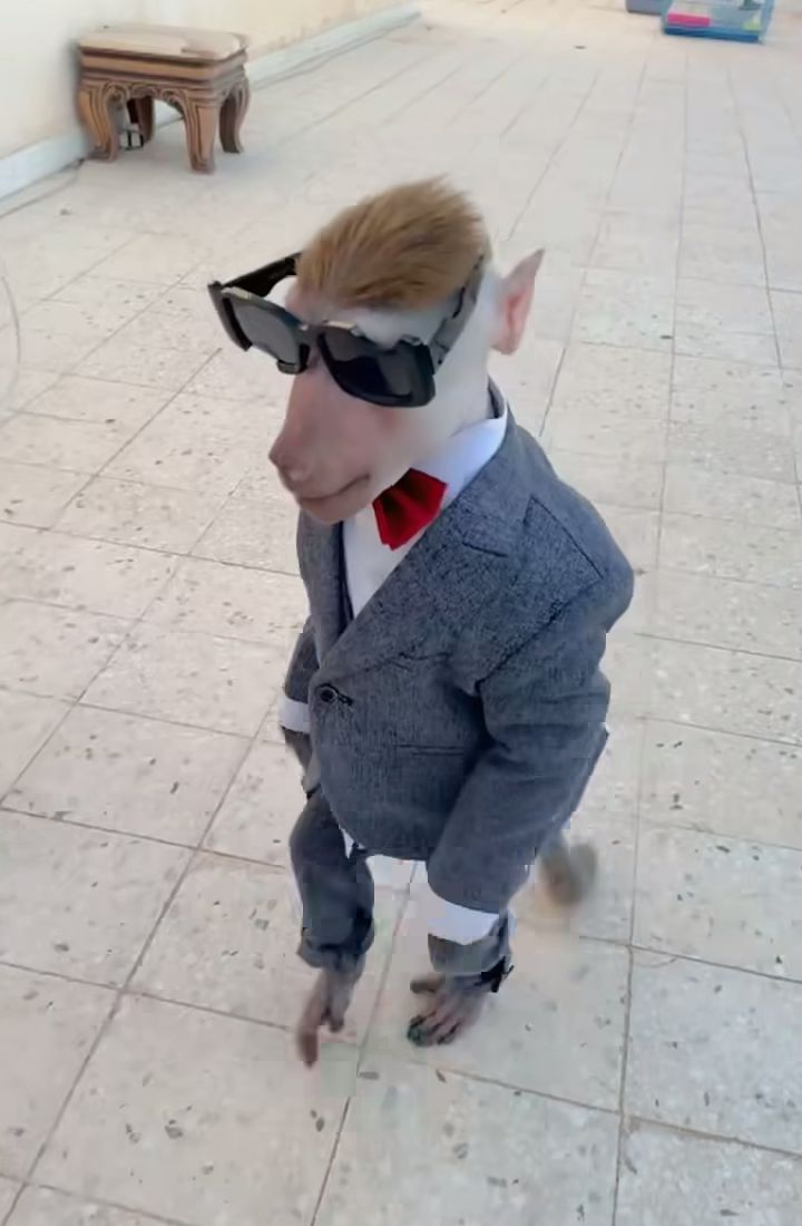 Galeri fotoğrafı 2